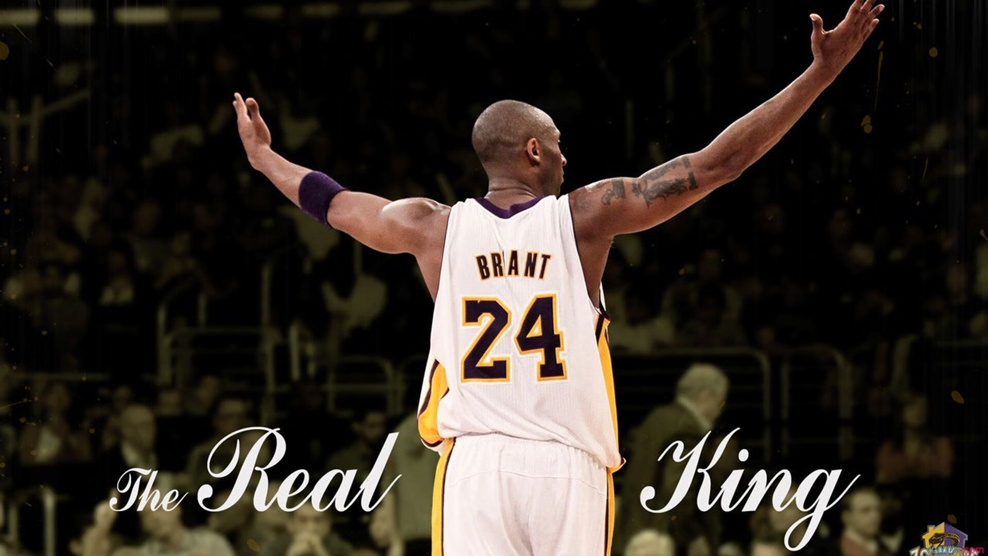 体育产业发展规模不断扩大